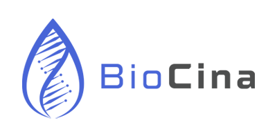 BioCina logo